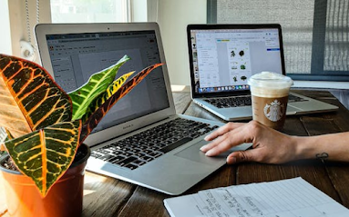 2 laptops and a plant on a desk